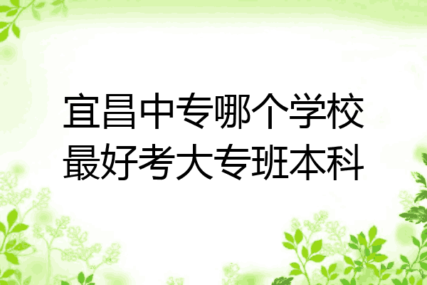 宜昌中专哪个学校最好考大专班本科