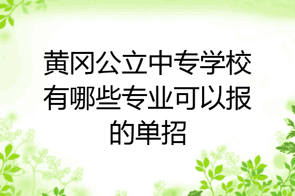 黄冈公立中专学校有哪些专业可以报的单招