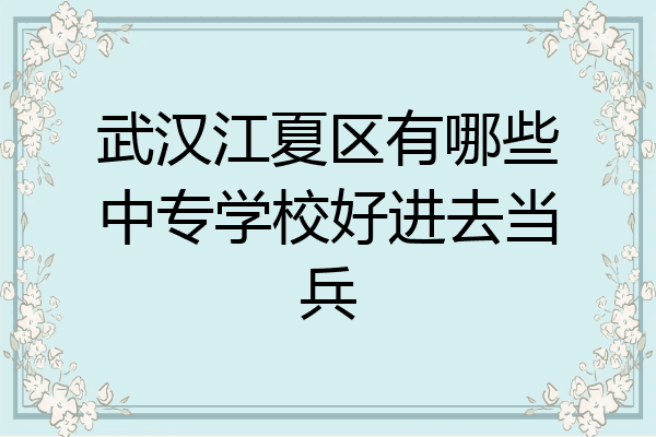 武汉江夏区有哪些中专学校好进去当兵