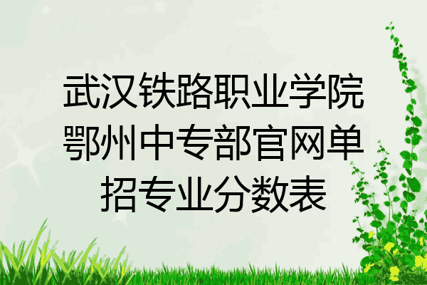 武汉铁路职业学院鄂州中专部官网单招专业分数表