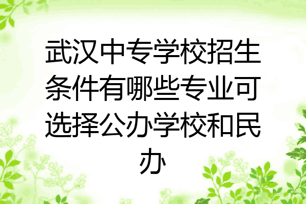 武汉中专学校招生条件有哪些专业可选择公办学校和民办