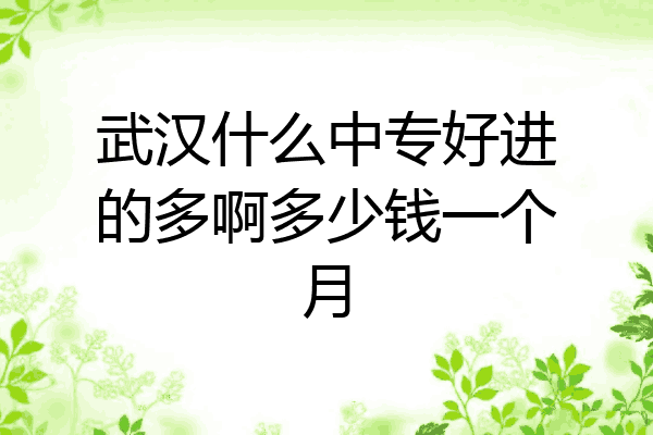 武汉什么中专好进的多啊多少钱一个月