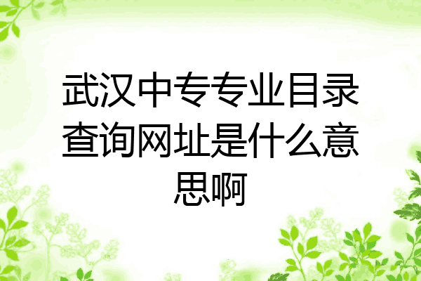 武汉中专专业目录查询网址是什么意思啊