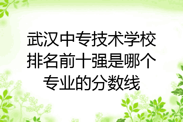武汉中专技术学校排名前十强是哪个专业的分数线