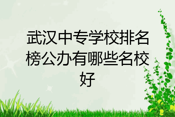 武汉中专学校排名榜公办有哪些名校好