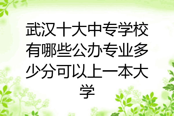 武汉十大中专学校有哪些公办专业多少分可以上一本大学