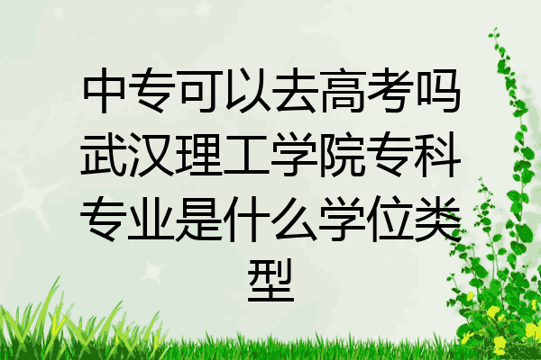 中专可以去高考吗武汉理工学院专科专业是什么学位类型