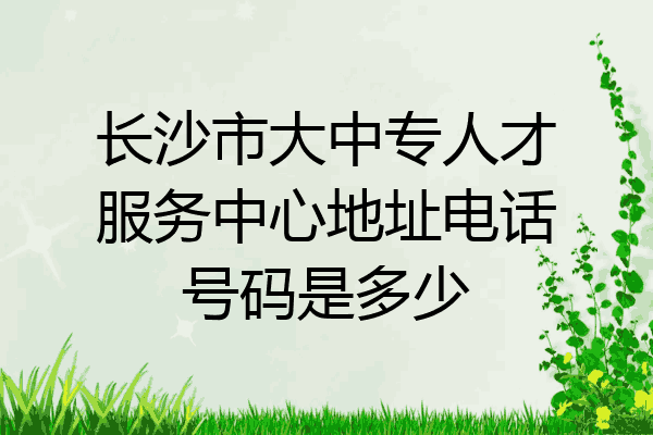 长沙市大中专人才服务中心地址电话号码是多少