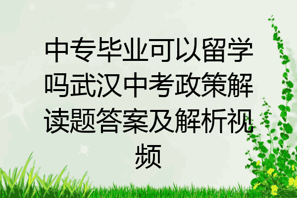 中专毕业可以留学吗武汉中考政策解读题答案及解析视频