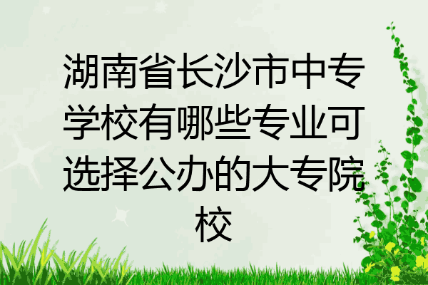 湖南省长沙市中专学校有哪些专业可选择公办的大专院校