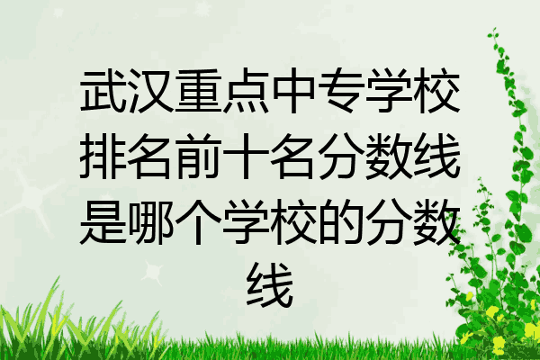 武汉重点中专学校排名前十名分数线是哪个学校的分数线
