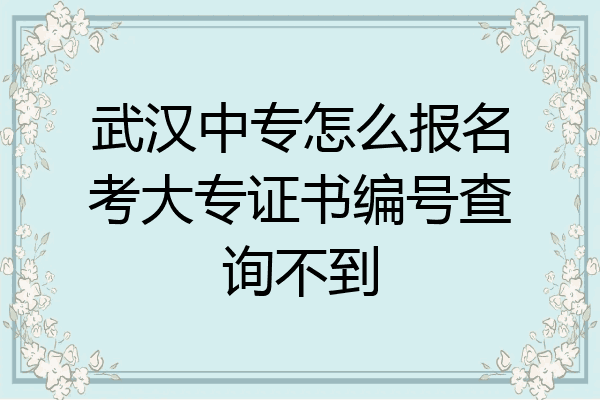 武汉中专怎么报名考大专证书编号查询不到