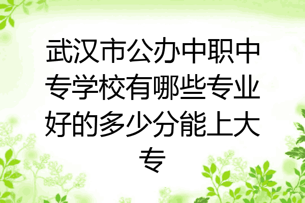 武汉市公办中职中专学校有哪些专业好的多少分能上大专