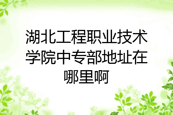 湖北工程职业技术学院中专部地址在哪里啊