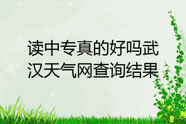 读中专真的好吗武汉天气网查询结果