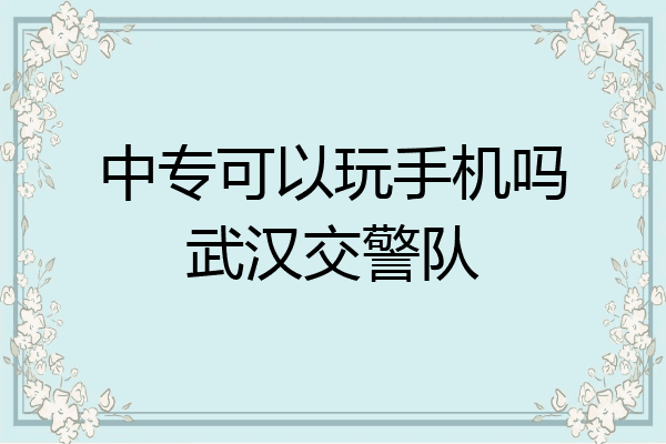 中专可以玩手机吗武汉交警队