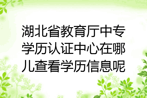 湖北省教育厅中专学历认证中心在哪儿查看学历信息呢