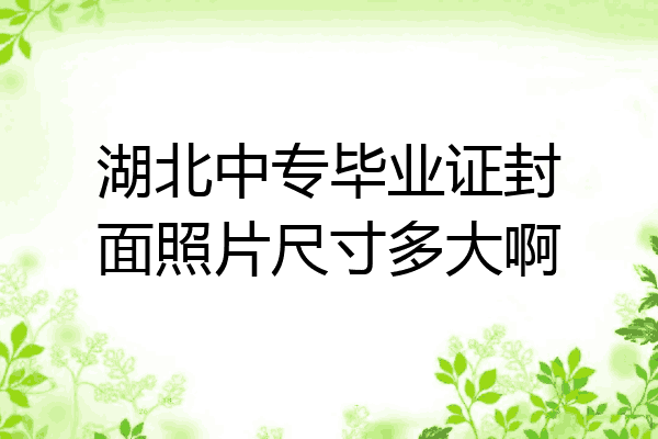 湖北中专毕业证封面照片尺寸多大啊