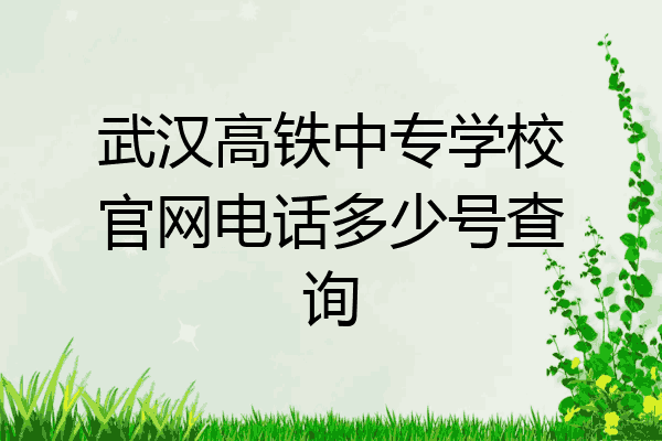武汉高铁中专学校官网电话多少号查询