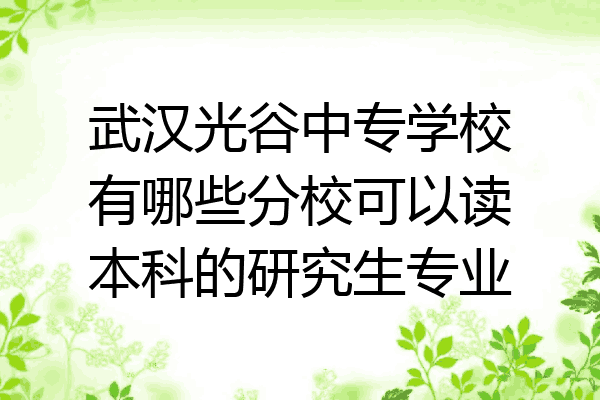 武汉光谷中专学校有哪些分校可以读本科的研究生专业