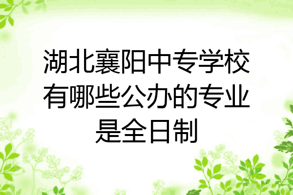 湖北襄阳中专学校有哪些公办的专业是全日制