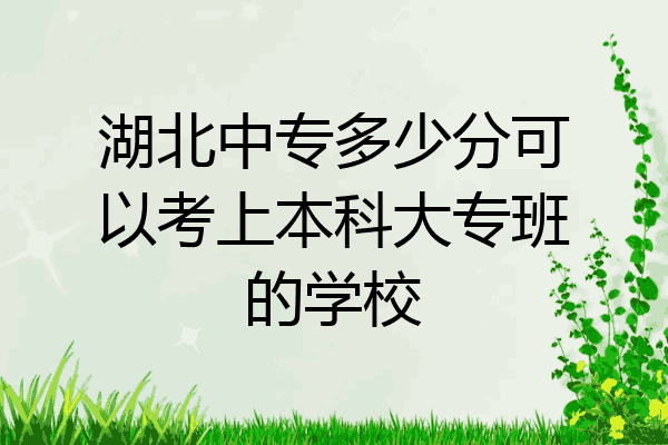 湖北中专多少分可以考上本科大专班的学校