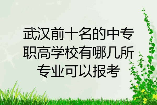 武汉前十名的中专职高学校有哪几所专业可以报考