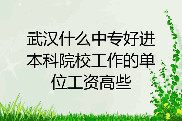 武汉什么中专好进本科院校工作的单位工资高些