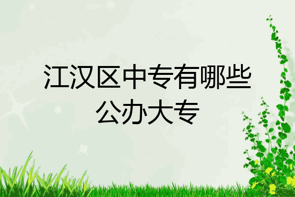 江汉区中专有哪些公办大专
