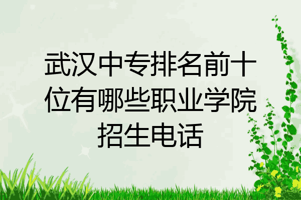 武汉中专排名前十位有哪些职业学院招生电话