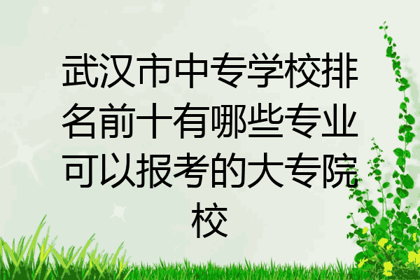 武汉市中专学校排名前十有哪些专业可以报考的大专院校