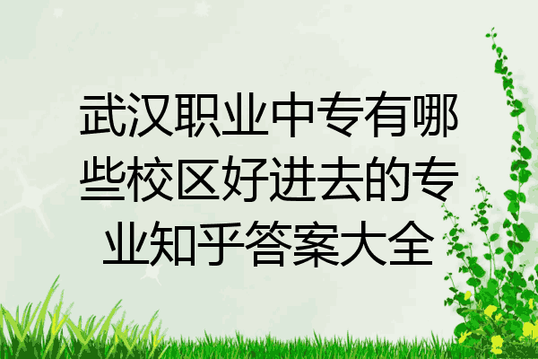 武汉职业中专有哪些校区好进去的专业知乎答案大全