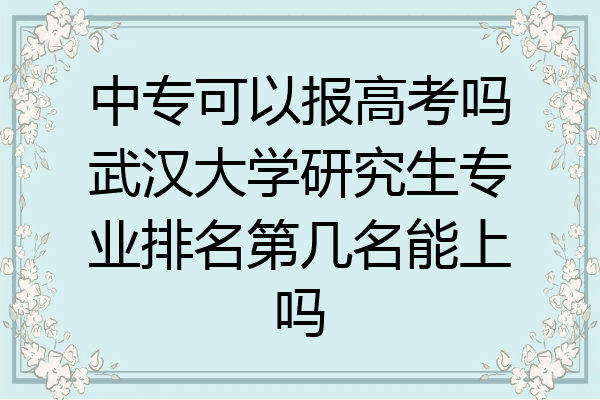 中专可以报高考吗武汉大学研究生专业排名第几名能上吗