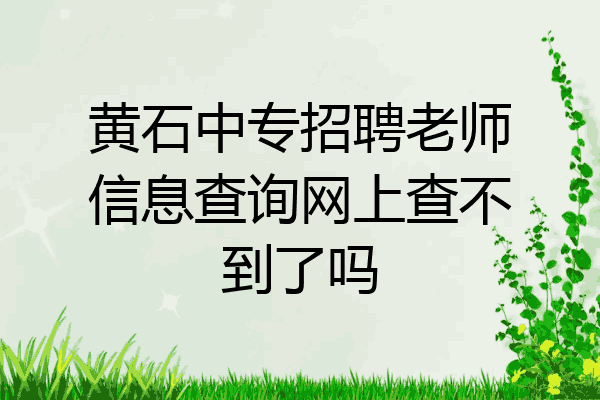 黄石中专招聘老师信息查询网上查不到了吗