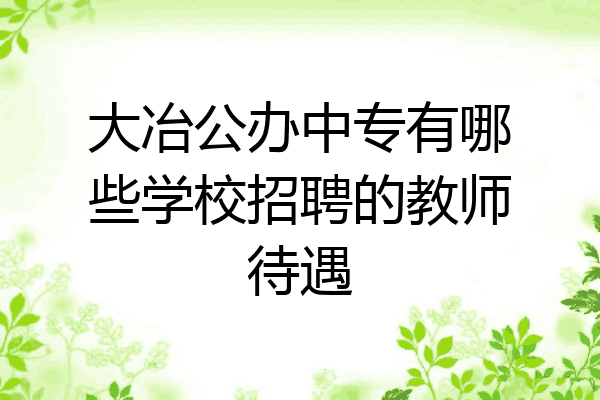 大冶公办中专有哪些学校招聘的教师待遇