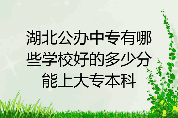 湖北公办中专有哪些学校好的多少分能上大专本科