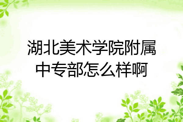 湖北美术学院附属中专部怎么样啊