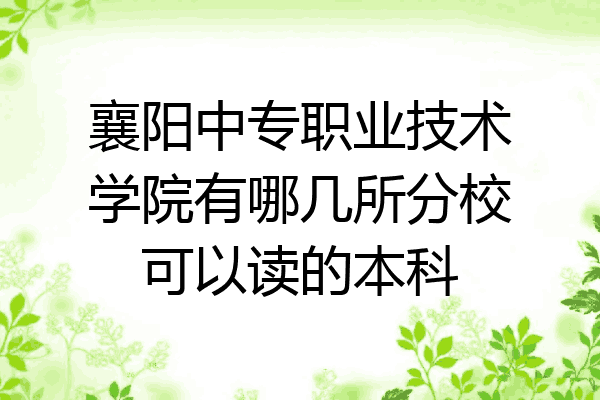 襄阳中专职业技术学院有哪几所分校可以读的本科