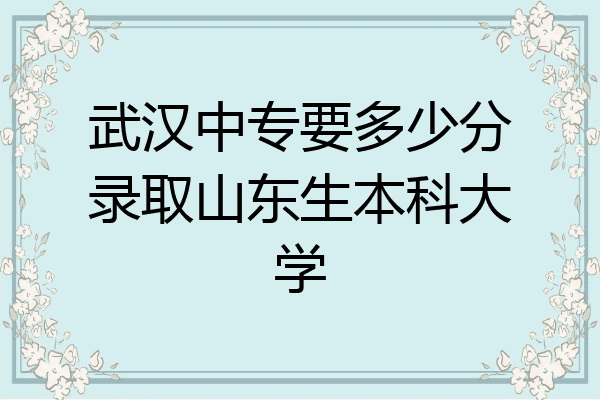 武汉中专要多少分录取山东生本科大学
