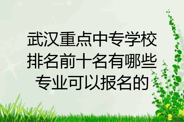 武汉重点中专学校排名前十名有哪些专业可以报名的