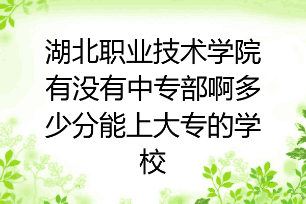 湖北职业技术学院有没有中专部啊多少分能上大专的学校