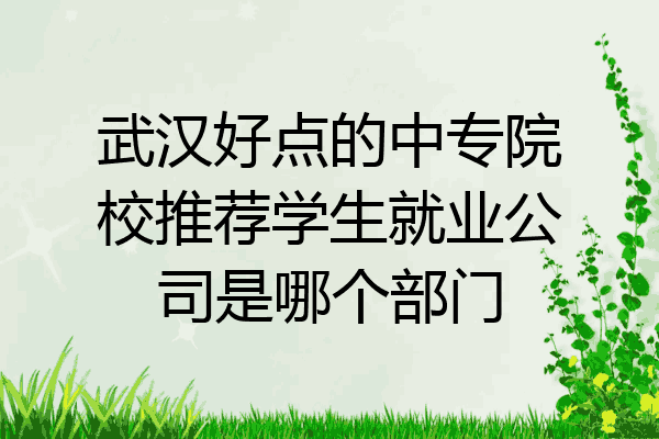 武汉好点的中专院校推荐学生就业公司是哪个部门