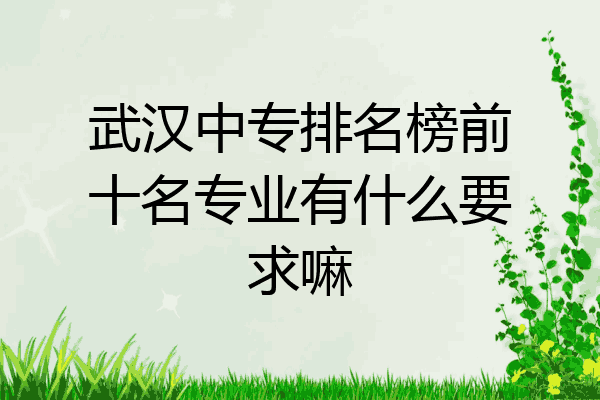 武汉中专排名榜前十名专业有什么要求嘛