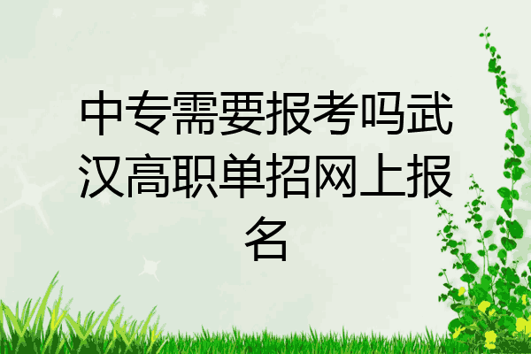 中专需要报考吗武汉高职单招网上报名