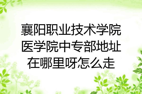 襄阳职业技术学院医学院中专部地址在哪里呀怎么走
