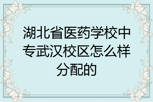 湖北省医药学校中专武汉校区怎么样分配的