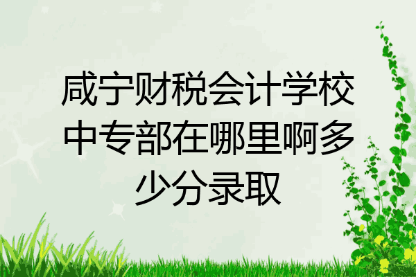 咸宁财税会计学校中专部在哪里啊多少分录取