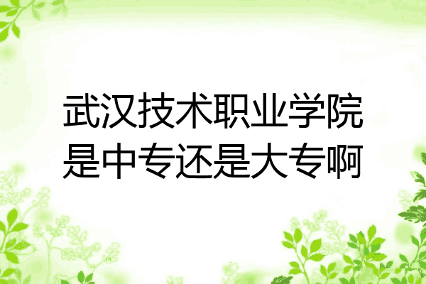 武汉技术职业学院是中专还是大专啊