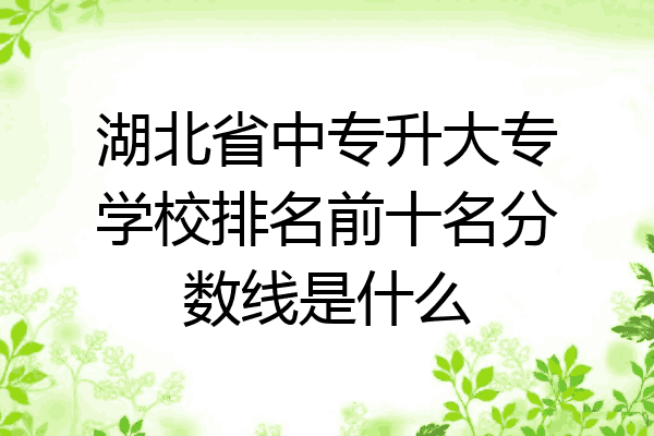 湖北省中专升大专学校排名前十名分数线是什么
