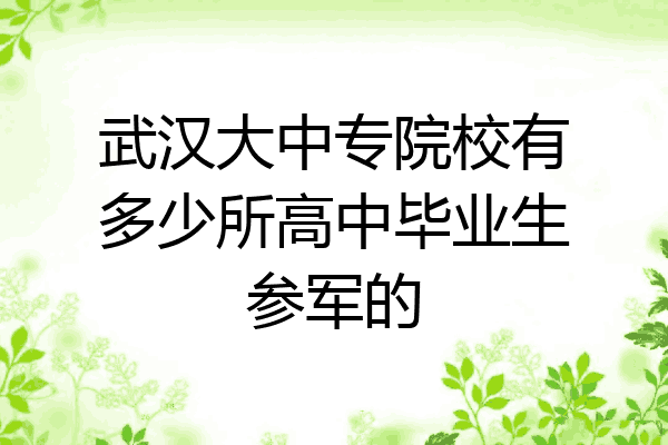 武汉大中专院校有多少所高中毕业生参军的